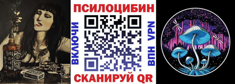 Галлюциногенные грибы Psilocybine cubensis цена Калуга