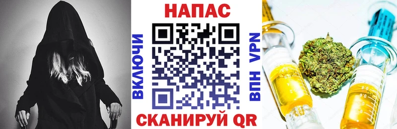 Конопля сатива  Калуга 